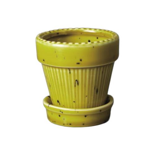 トロンコ（TRONCO）　Kaunis　Standard　Sサイズ　TRKN-008　イエロー ハン...