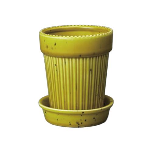 トロンコ（TRONCO）　Kaunis　Standard　Mサイズ　TRKN-012　イエロー ハン...