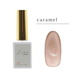ジェル エムジェル（M・GEL） LienFort カラージェル Z074 wisteria ハンズ