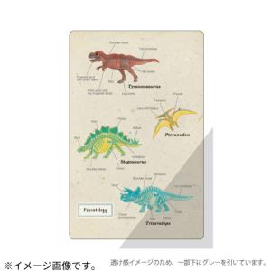 グリーンフラッシュ（GreenFlash）　STUDY　HOLIC　クリアブックマーク　ST−363　古生物学 ハンズ｜hands-net