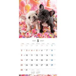 【2027年版・壁掛】 ピクトワン(PICTW...の詳細画像1