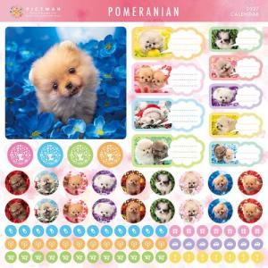 【2027年版・壁掛】 ピクトワン(PICTW...の詳細画像4