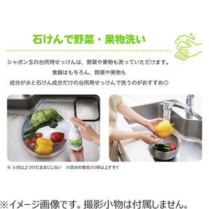シャボン玉石けん 台所用せっけん 泡タイプ つ...の詳細画像2
