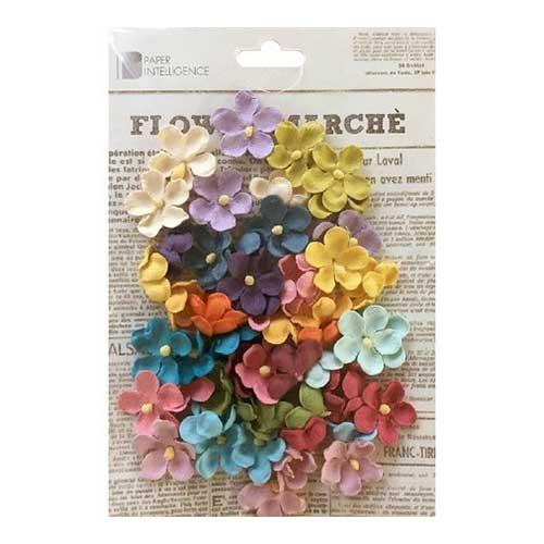 花岡　フラワーマルシェ　ベゴニア　CR72901 ハンズ