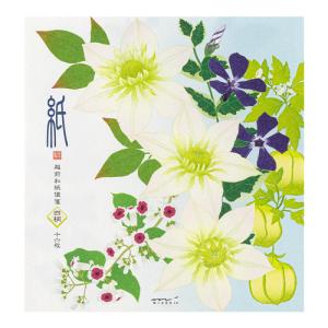 ミドリ（MIDORI）　便箋　4柄入　夏の花柄　87169006 ハンズ｜hands-net