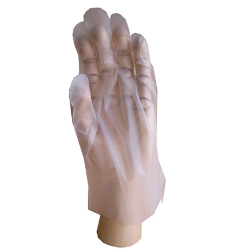 プロワーク　ポリタッチ　100枚入　L ハンズ