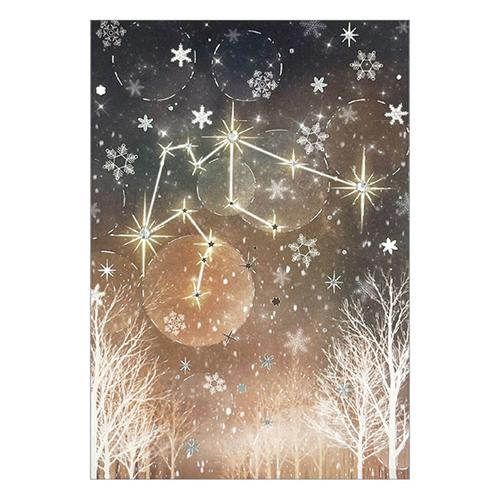 クローズ・ピン　12星座ラインストーンポストカード　水瓶座　PC16601 ハンズ