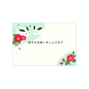 クローズ ピン 寒中ハガキ 3枚入 NP98028│カード ポストカード グリーティングカード 東急ハンズ