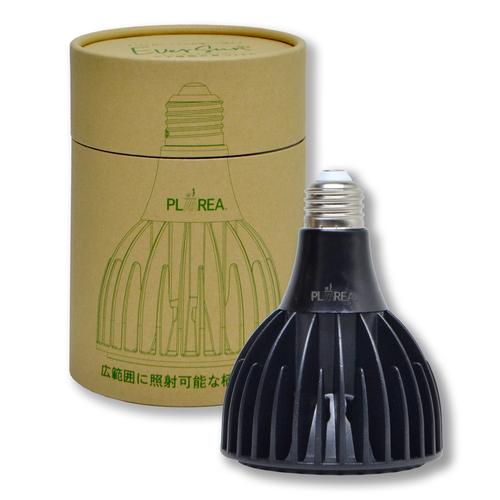 ゼンスイ　プラエリア（PLAAREA）　エバーサン（EverSun）　365　24W ハンズ