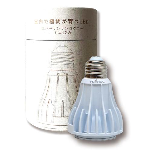 ゼンスイ　プラエリア（PLAAREA）　エバーサン（EverSun）　365mini　12W　ホワイ...