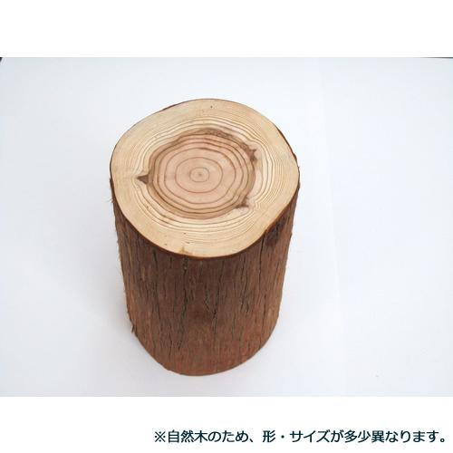 北山杉皮付棒切　140〜150×200 ハンズ