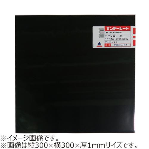 アクリサンデー　サンデーシート　S　300　黒 ハンズ