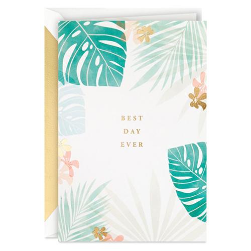 ホールマーク（Hallmark）　輸入カード　多目的　シグネチャー・スタジオ・コレクション　8089...