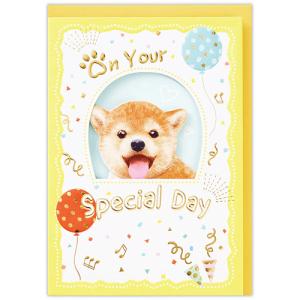 ホールマーク（Hallmark）　誕生お祝い　立体カード　ハッピーメイト　840242　柴犬 ハンズ｜hands-net