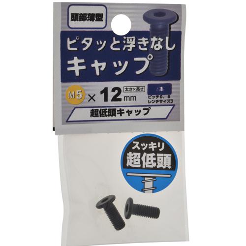 八幡ねじ　超低頭キャップ　M5×12 ハンズ
