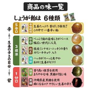 うどんや風一夜薬本舗 しょうが飴 辛味絶佳 徳...の詳細画像4