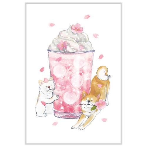 アクティブコーポレーション　春・しばいぬと春ポストカード　PPA−253h　桜ラテ ハンズ