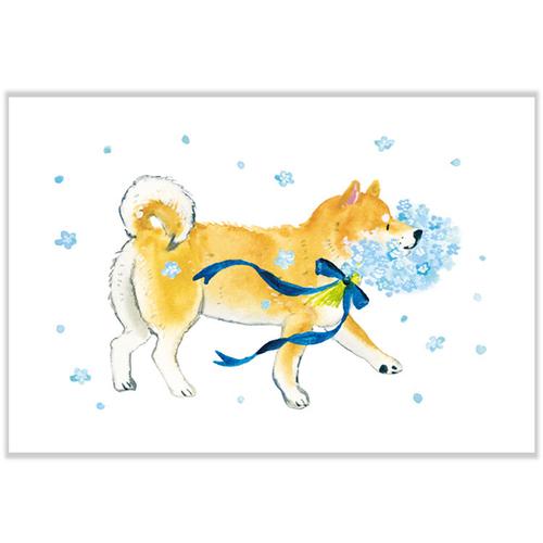 アクティブコーポレーション　春・しばいぬと春の花ポストカード　PPA−275h　ネモフィラ ハンズ