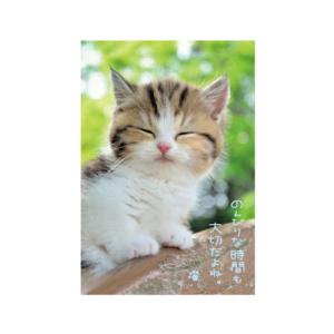 アクティブコーポレーション ネコポストカード PB−400│カード ポストカード ポストカード 東急ハンズ