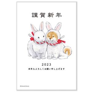 アクティブコーポレーション A−006卯年くじ付き年賀状作家 NJ−214 3枚入り│カード メッセージカード はがき ポストカード ハン