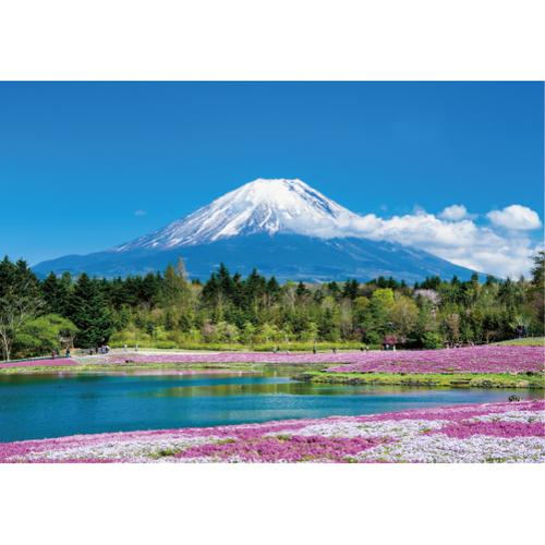 エヌ・ビー・シー　富士山と芝桜　富士−035 ハンズ