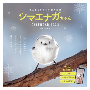 インプレス 2023 雪の妖精 シマエナガちゃん 6302│カレンダー 壁掛けカレンダー 東急ハンズ