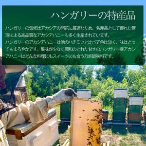 アカシア蜂蜜 ナチュラルアカシアハニー チュー...の詳細画像2