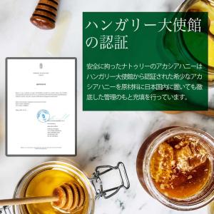 アカシア蜂蜜 ナチュラルアカシアハニー チュー...の詳細画像3