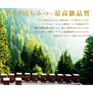 [10/19から順次出荷予定] はちみつ バリ...の詳細画像3