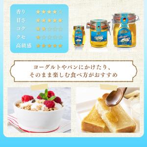 アカシア蜂蜜 バリム アカシアハニー 1kg ...の詳細画像2