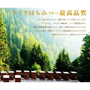 はちみつ バリム ブラックフォレストハニー 1...の詳細画像4