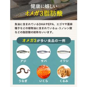 チアシード 有機ブラックチアシード 500g ...の詳細画像4