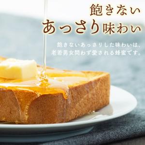 はちみつ アカシア蜂蜜 デイリーハニー アカシ...の詳細画像4