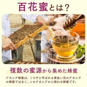 はちみつ 百花蜂蜜 デイリーハニー 百花蜜 1...の詳細画像3