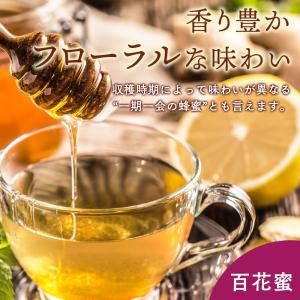 はちみつ 百花蜂蜜 デイリーハニー 百花蜜 1...の詳細画像4