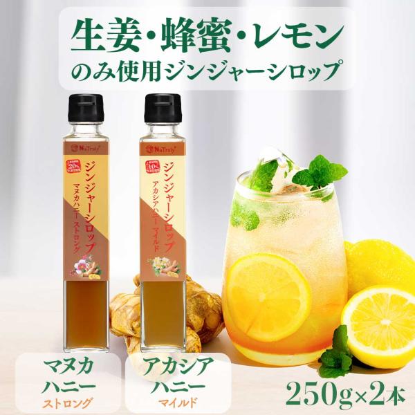 しょうが ジンジャーシロップ マヌカハニーストロング＆アカシアハニーマイルド 250g×2個 ジンジ...
