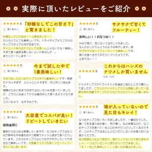 なつめ 無農薬 楼蘭なつめチップス 60g 無...の詳細画像4