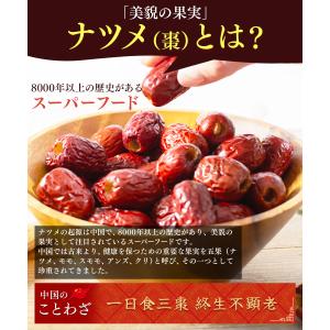 なつめ 無農薬 楼蘭なつめチップス 200g×...の詳細画像5