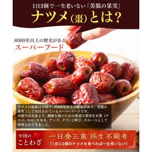 なつめ 無農薬 楼蘭なつめ ドライ あんしん種...の詳細画像3
