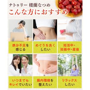 なつめ 無農薬 楼蘭なつめ ドライ あんしん種...の詳細画像4