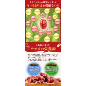 なつめ 無農薬 楼蘭なつめ ドライ あんしん種...の詳細画像5