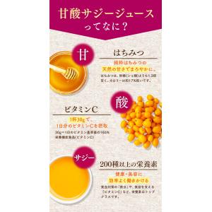 サジージュース さんざしジュース はちみつ入り...の詳細画像3
