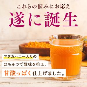 サジージュース さんざしジュース はちみつ入り...の詳細画像5