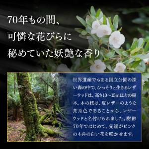 レザーウッドハニー 180g オーストラリア産...の詳細画像4