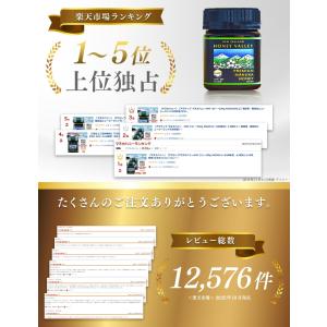 マヌカハニー MGO261+ 120g リキッ...の詳細画像5