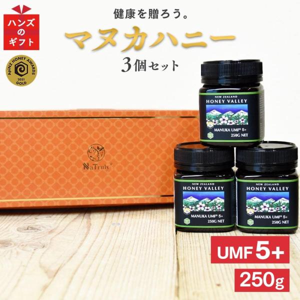 ギフト マヌカハニー UMF5+ 250g×3個セット ギフトセット MGO83以上 はちみつ 蜂蜜...