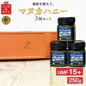 明治屋 カピラーノ アクティブマヌカハニー MG300＋ 250g×1本 蜂蜜