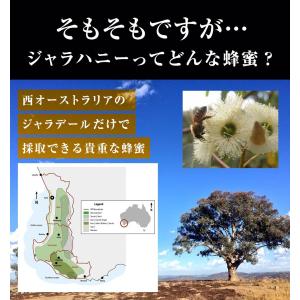 はちみつ ジャラハニー TA35+ 120g&...の詳細画像5