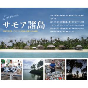 ノニジュース ハンズノニ サモア 半年熟成ノニ...の詳細画像4