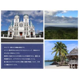 ノニジュース ハンズノニ サモア 半年熟成ノニ...の詳細画像5